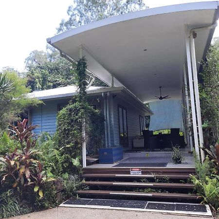 Daintree Rainforest Accommodation Cow Bay Ngoại thất bức ảnh