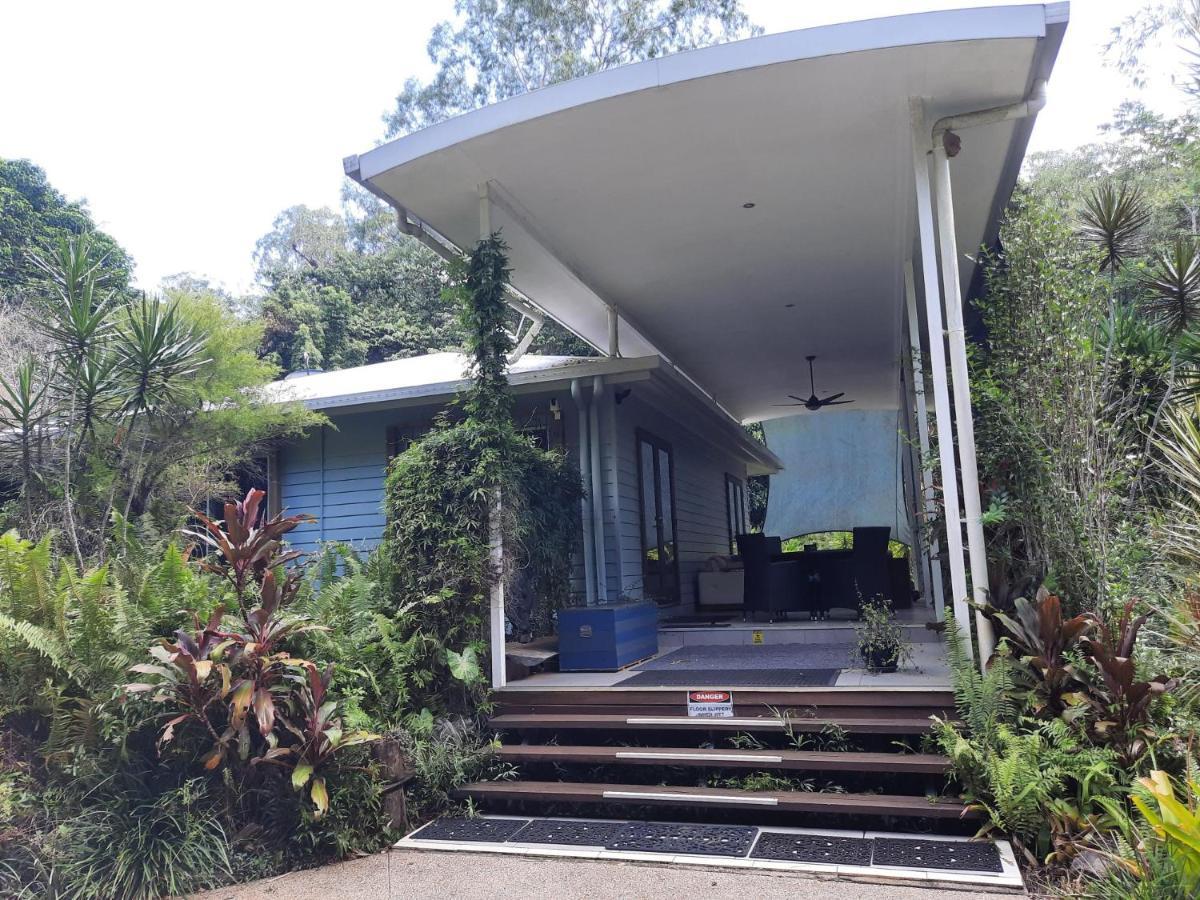 Daintree Rainforest Accommodation Cow Bay Ngoại thất bức ảnh
