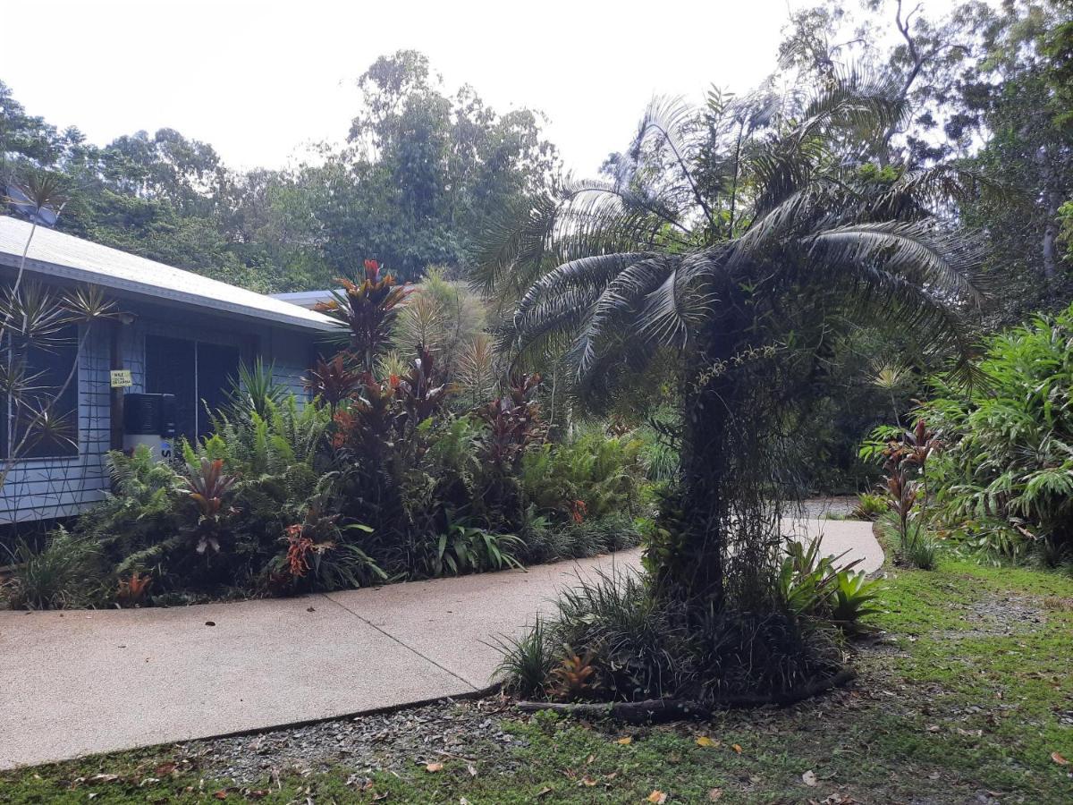 Daintree Rainforest Accommodation Cow Bay Ngoại thất bức ảnh